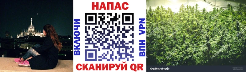 Что такое Белокуриха Канабис COCAIN ГАШИШ