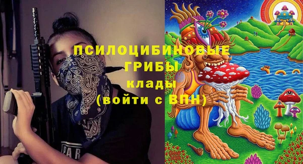 прущая мука Богданович